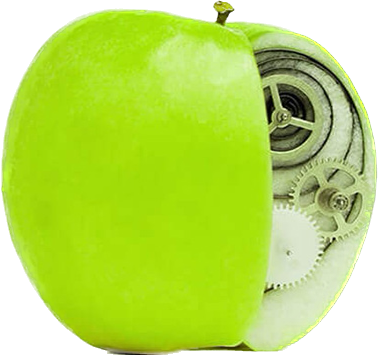 Apple with gears inside
