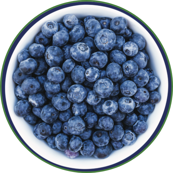 bowl of blue berries