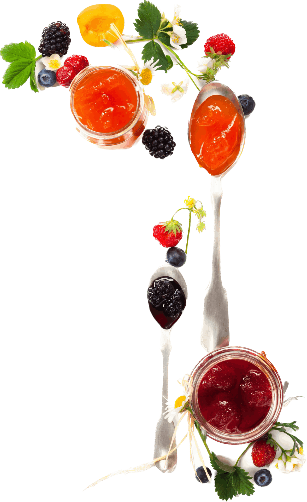 Fruits and Jam